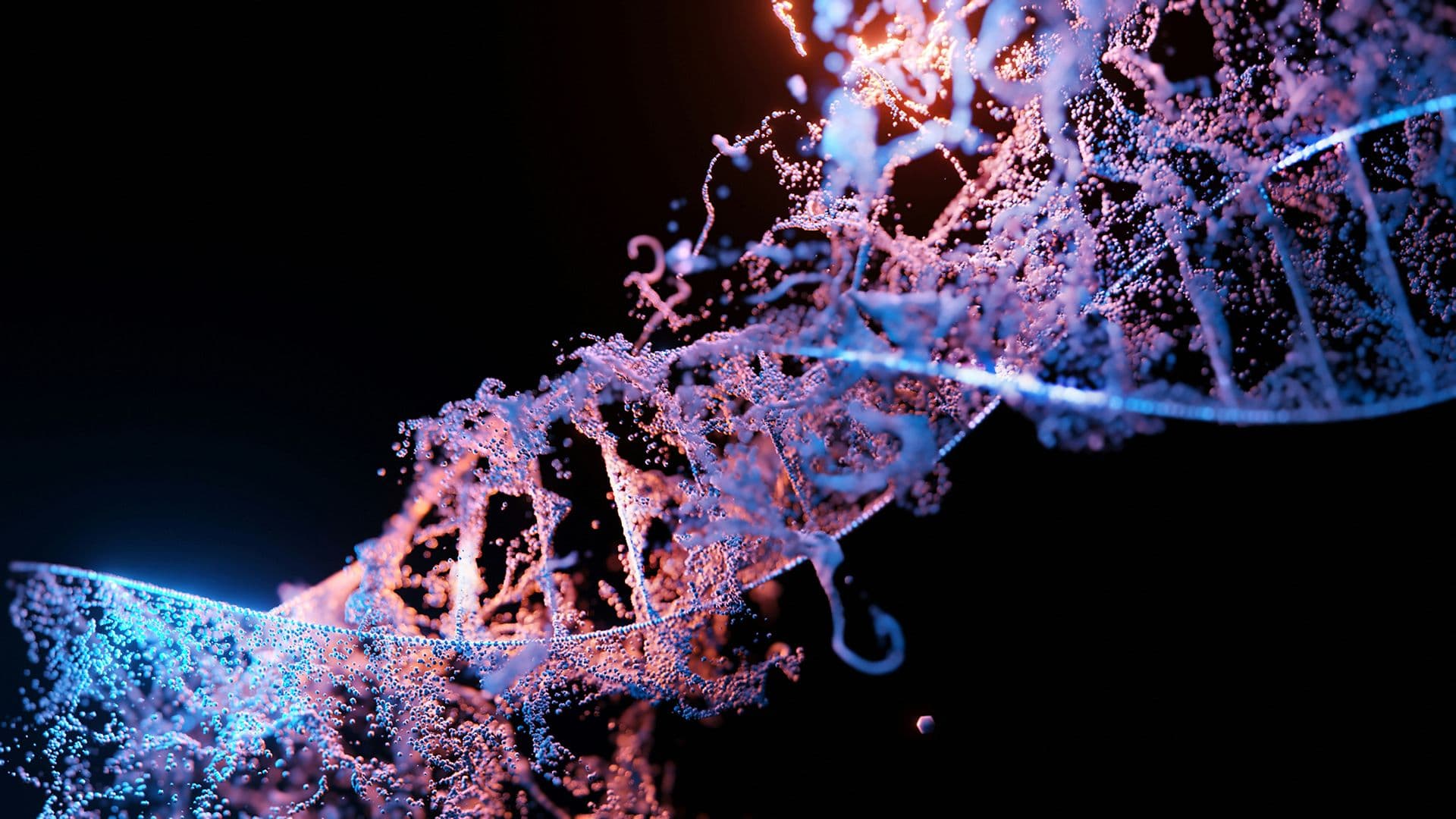 Blue Purple Structure Photo 1.jpg